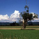 FVCW (10)-Trimpel-Helmut